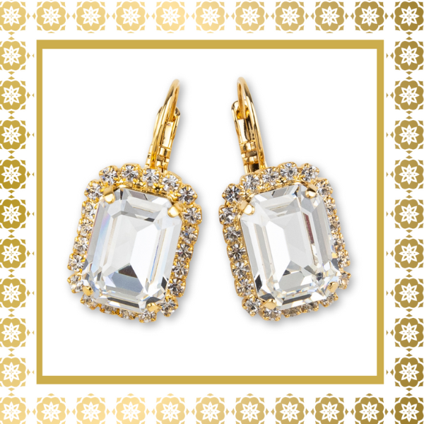 Teramasu Handmade Clear Crystal CZ Crystals Gold Plated Lever Back Drop Earrings